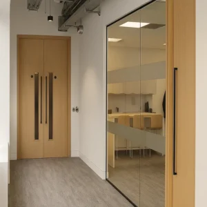 Custom Doors in Office